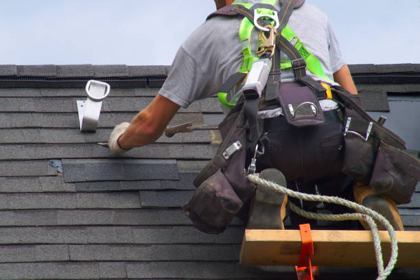 Best Roof Gutter Cleaning  in Lwa, CA